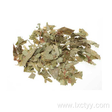 epimedium sagittatum extract tea